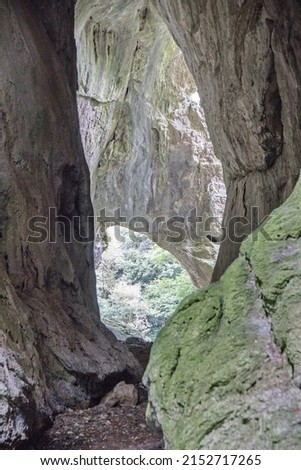 vertical shot of inside of green rocky cave