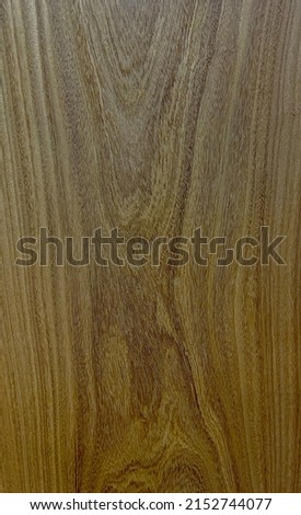 Natural wood patterns for design and decoration , Texture for 3d material.