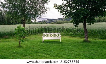 shot of a bench in the middle of two trees in front of tall grass Royalty-Free Stock Photo #2152755755