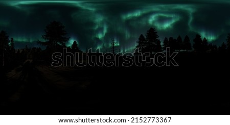 HDRI - Snow forest with Aurora Borealis on the sky 52 - Panorama