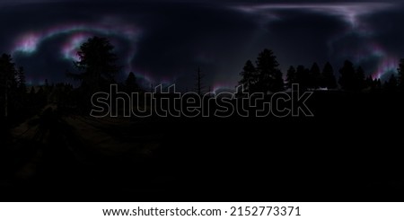 HDRI - Snow forest with Aurora Borealis on the sky 54 - Panorama