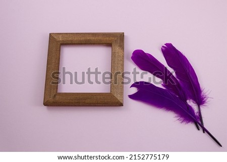 Square wooden frame and three purple feathers on a pink background