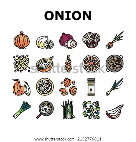 Onion Fresh Vitamin Vegetable Icons Set Vector. White And Purple Onion, Growing Green And Shallot. Harvesting Ripe Eatery Bio Plant For Flavoring Meal And Salad Color Illustrations Royalty-Free Stock Photo #2152776811