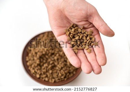 Pet food in the open palm of a man's hand. Adult Male holding dry cat food in his hands. A bowl with triangular granules in the background.