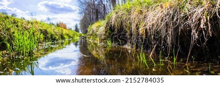 Beautiful natural panoramic rural landscape. Blooming wild tall grass on the bank of a shallow stream with blue water in nature. Pastoral landscape. Selective focus in the foreground.