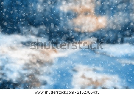  blurred winter forest, falling snow bokeh