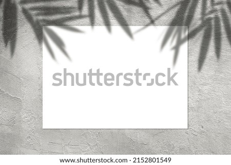 Empty white horizontal rectangular poster mockup with light shadow on gray concrete wall background, top view.
