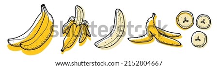 Banana set. Abstract modern set of banana icons, whole and sliced isolated on a white background. For internet, printing, product design, logo. Line, contour. Vector hand-drawn flat illustration. Royalty-Free Stock Photo #2152804667