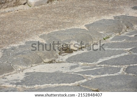 Photos of Pompei archelogica site in Italy 