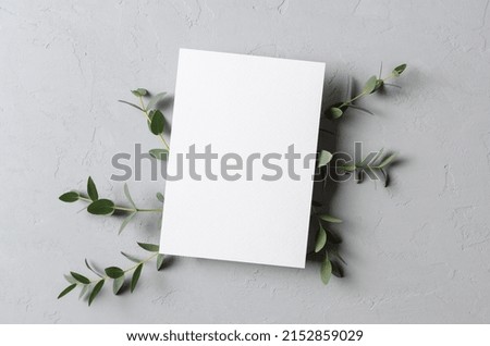 Invitation, flyer or greeting card mockup with fresh eucalyptus twigs Royalty-Free Stock Photo #2152859029