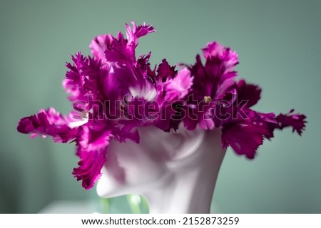 Fresh bunch of purple parrot tulips in vase in shape of womens face on light background. Trendy Ceramic Vase of human head, Handmade Modern Statue Art Flower Vase. Card Concept, copy space for text Royalty-Free Stock Photo #2152873259