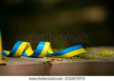 Ukrainian ribbon of freedom close up on a green background, yellow and blue patriotic ribbon and place for text, colors of the flag of Ukraine as a symbol of courage, freedom and independence.