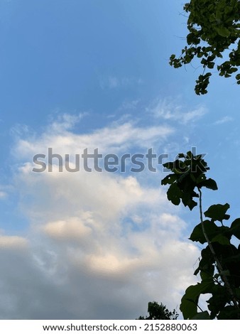 Blue sky with cloudy in summer
