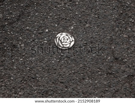 minimalist image of metal stud on the ground in the shape of a rose