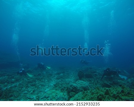 
Scuba diving at Chichi jima Bonin island, Ogasawara. Royalty-Free Stock Photo #2152933235