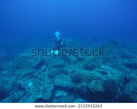 
Scuba diving at Chichi jima Bonin island, Ogasawara. Royalty-Free Stock Photo #2152933263