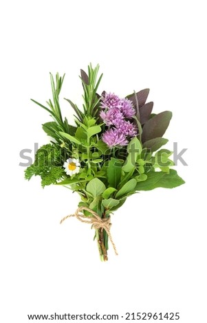 Herbs tied in a bunch for food seasoning, fresh organic ingredients also used in herbal plant medicine to treat various illnesses. On white background, flat lay, top view. Royalty-Free Stock Photo #2152961425