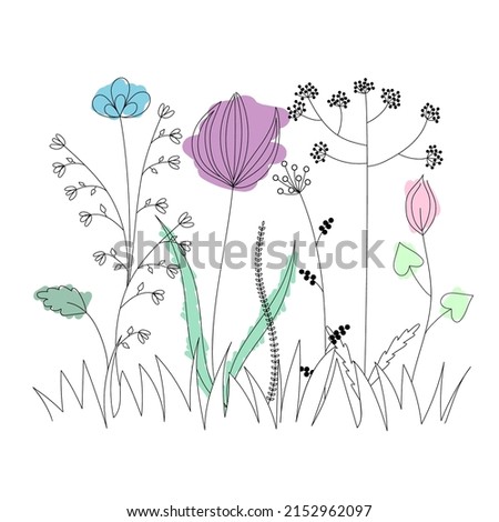Silhouettes of simple wildflowers are drawn on a white background. Logo design, flyer, brand book