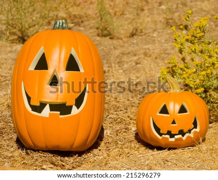 Two Halloween pumpkins on the grass - holiday concept
