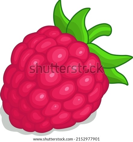 Raspberry isolated icon in casual style