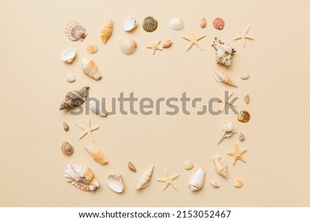 Summer time concept on colored background. Seashells from ocean shore in the shape of frame separated with space for text top view.