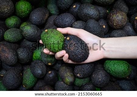 woman hand picking up ripe hass avocado fruit on avocados background in supermarket Royalty-Free Stock Photo #2153060665