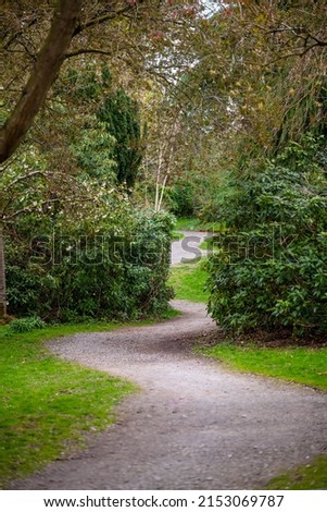 A curly footpath in a garden passing bushes