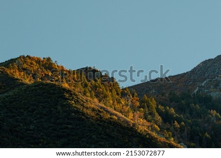 A beautiful scenery of the Fall colors in the Huachuca Mountains with a clear sky