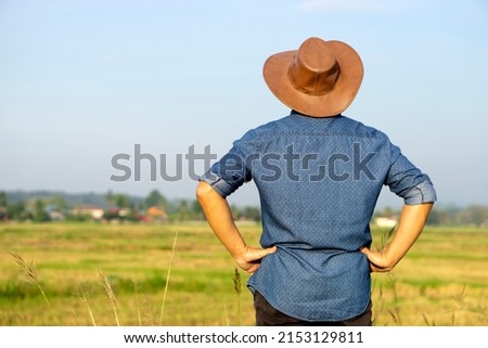 Back view of a man wears leather hat, blue shirt, put his hands on his hips , stands at paddy field.  Concept : Lifestyle, Live with nature. Think and plans  about agriculture business and investment.