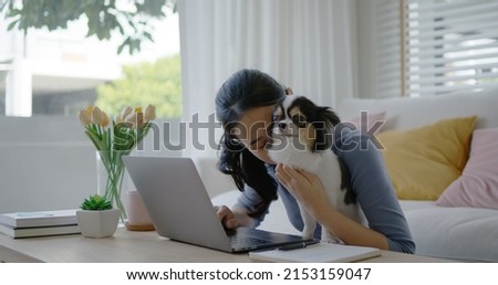 Young asia single woman remote work at home office sofa couch workspace hug kiss cute little chihuahua dog. Pet as child millennial lifestyle. Small animal puppy stress relief therapy for workforce.