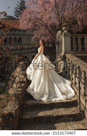A beautiful bride is standing at castle