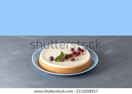 Frozen cake, cheesecake with berries. Selective focus, copy space.