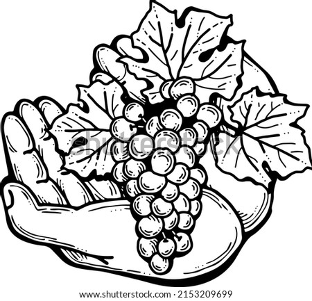 Grapes harvest in farmers hands. Etiquette logo design for wine bottle. Autumn rural vino festival. Winery production. Organic healthy food. Hand drawn vintage vector illustration. Old style drawing.  Royalty-Free Stock Photo #2153209699