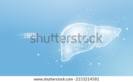 Human liver. Wireframe low poly style. Concept for medical, treatment of the hepatitis. Abstract modern 3d vector illustration on blue background. Royalty-Free Stock Photo #2153214581