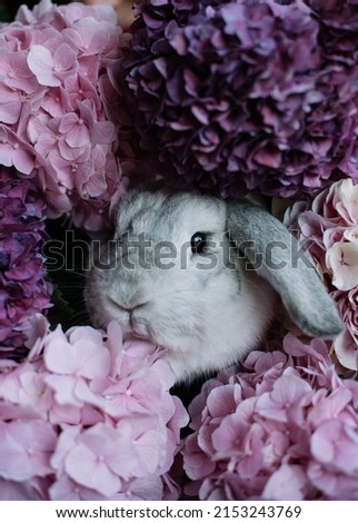 Adorable cute fluffy bunny rabbit hiding in purple hydrangea flowers, vertical photo