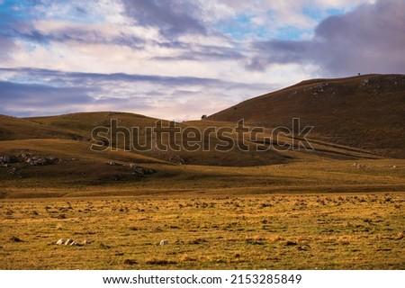 autumnal nature sceneries inside Campo Imperatore with a cloudy and blue sky in the background, L'Aquila, Italy