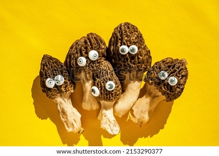 funny morels characters on bright background