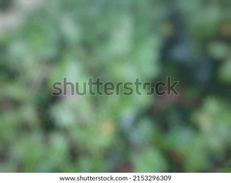 Defocused or blurred abstract background of green fat bushes