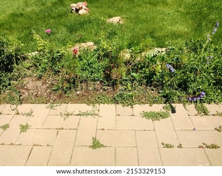 a garden paver walkway path brick stone sidewalk verge lawn backyard cobblestone grass Royalty-Free Stock Photo #2153329153