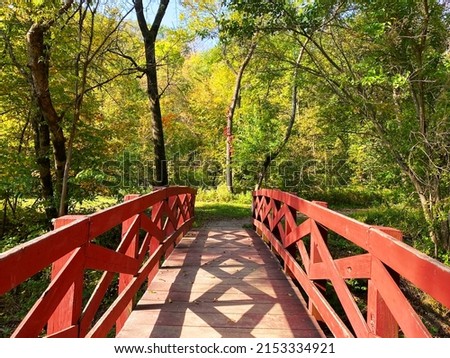 a wooden red nature river bridge walkway path glen sunshine hiking trail forest