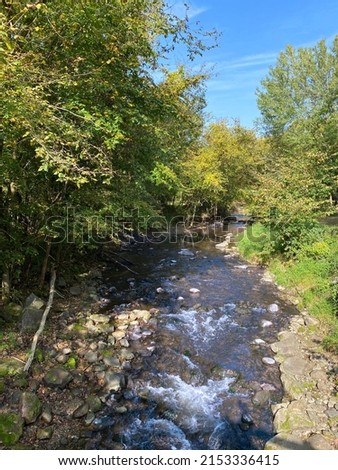 rushing river water stream vertical forest woods nature rapids stones rocks waves