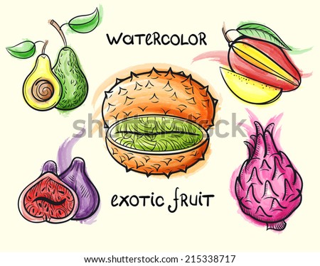 exotic fruit watercolor vector sketch set