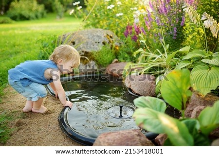 Funny toddler boy having fun by a small garden pond on sunny summer day. Child exploring nature. Summer activities for small kids.