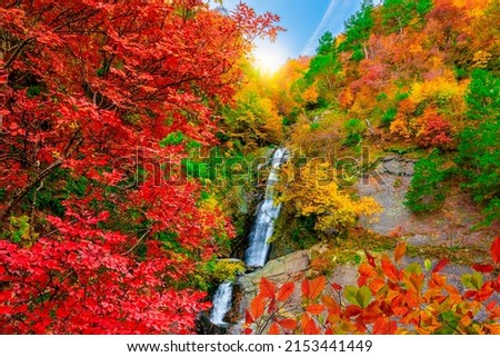 Waterfall in autumn colors. Nature landscape in mountain. colorful forest landscape. Autumn landscape in the waterfall flowing from the mountain. Colorful autumn scenery. colorful leaves in forest.
