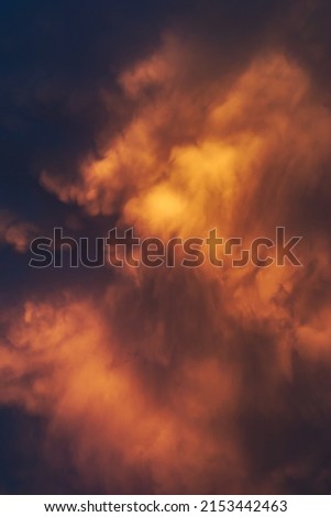 details of cumulus clouds dyed golden by the twilight light, dissolved and shaped by the winds.