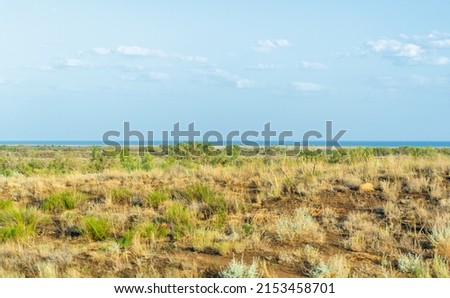 prairie, veld, veldt Forestless steppe, poor in moisture, with herbaceous vegetation in a dry climate zone. Prairie plants are adapted to permanent burns, developing powerful underground structures