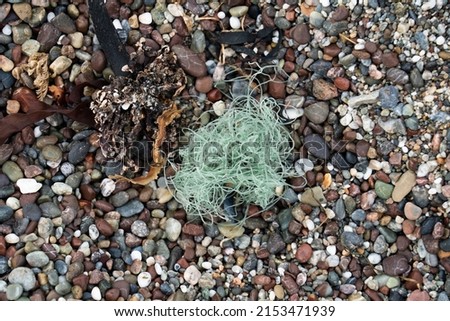 Fishing line washed up on shore Royalty-Free Stock Photo #2153471939