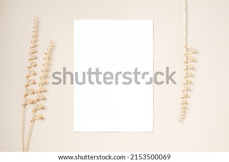 White invitation cards mockup and a decorative branch from a dry vine. Beige background. Copy space.