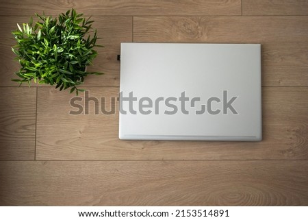 Top view of the closed laptop on wooden background. A home workplace with plants. Minimalism interior