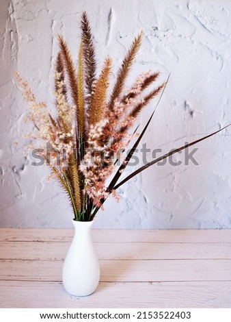 Purple Fountain Grass flowers in vase on table vintage background and desert rose ,copy space for letter white vase old wall for wallpaper or text message writing still life black and white gray color